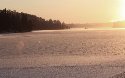 Friday November 10, 2017