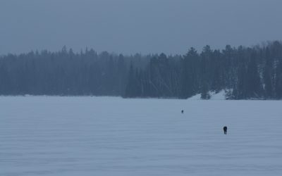 Sunday November 12, 2017