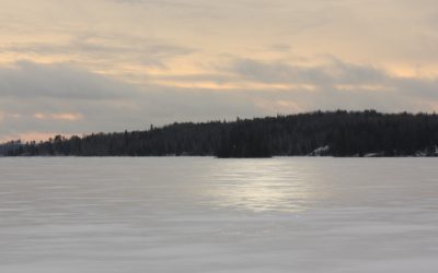 Wednesday November 21, 2017