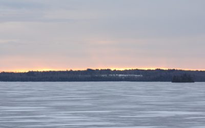 Friday November 24, 2017