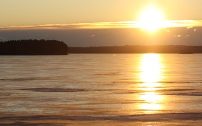 Tuesday November 28, 2017