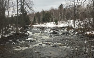 Monday November 27, 2017