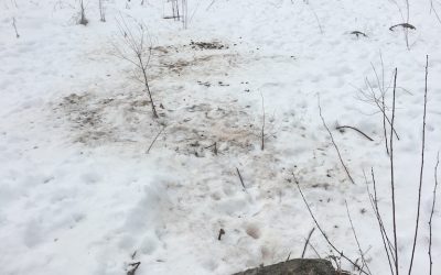 Wednesday November 29, 2017