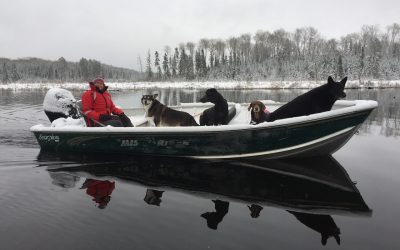 Friday November 3, 2017