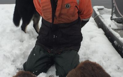 Saturday November 4, 2017