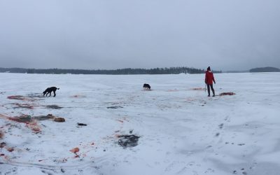 Monday November 13, 2017