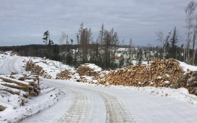 Monday November 20, 2017