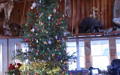 Monday December 25, 2017