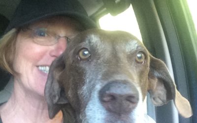 Tuesday December 12, 2017