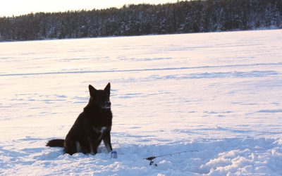 Sunday December 31, 2017