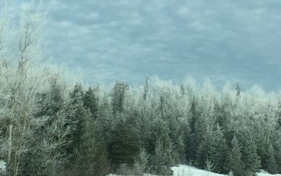 Monday December 3, 2017