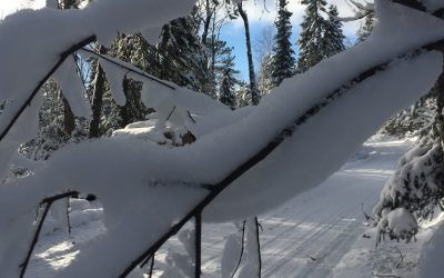 Wednesday December 13, 2017