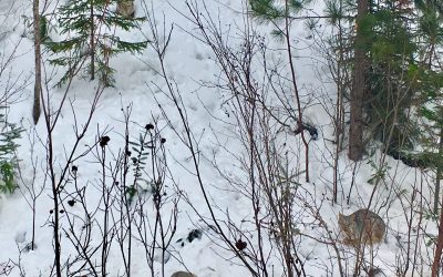 Friday January 26, 2018