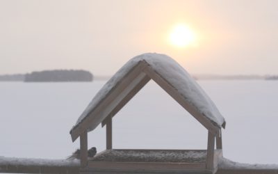 Monday January 15, 2018