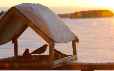 Wednesday January 17, 2018