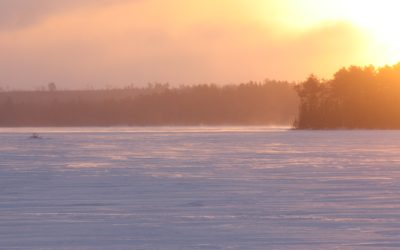 Wednesday January 31, 2018