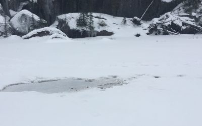 Thursday January 25, 2018