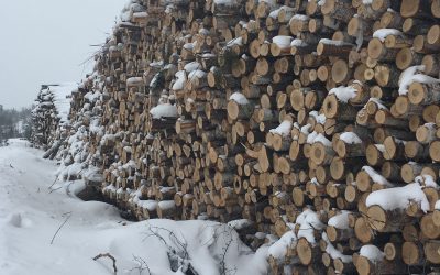 Monday January 29, 2018