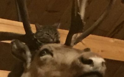 Tuesday January 9, 2018