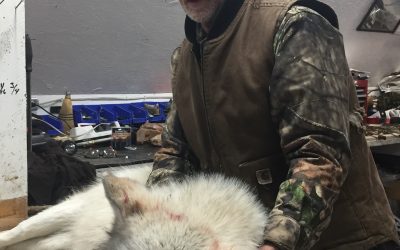 Sunday January 14, 2018