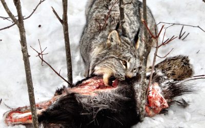 Tuesday January 30, 2018