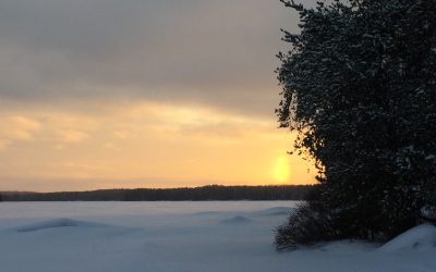 Wednesday February 21, 2018