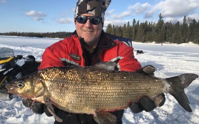 Saturday February 24, 2018