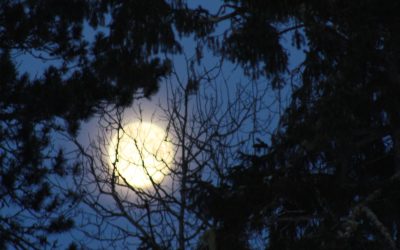 Friday February 2, 2018