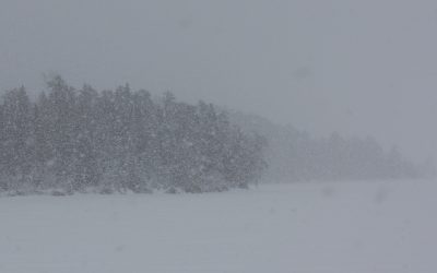 Tuesday February 20, 2018