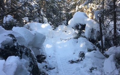 Thursday February 8, 2018