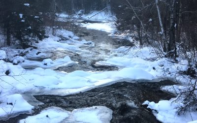 Sunday February 11, 2018