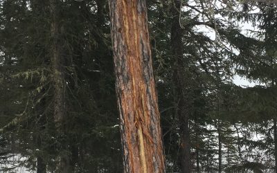 Thursday February 22, 2018