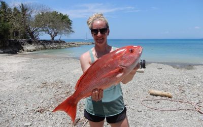 Tuesday March 20, 2018