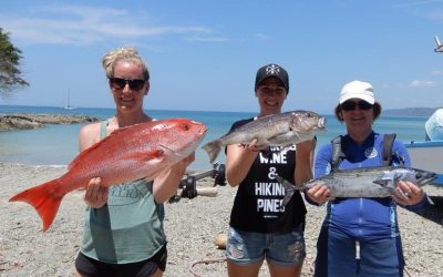 Thursday March 22, 2018