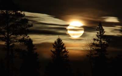 Saturday March 3, 2018