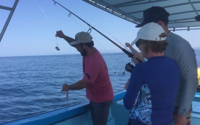 Wednesday March 21, 2018