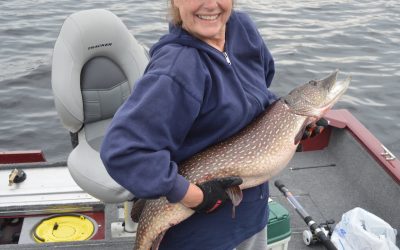 Tuesday May 29, 2018