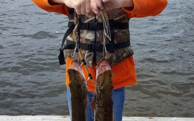 Tuesday September 11, 2018