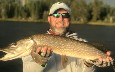 Tuesday September 18, 2018