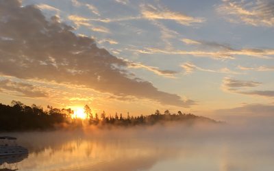 Friday, September 7, 2018