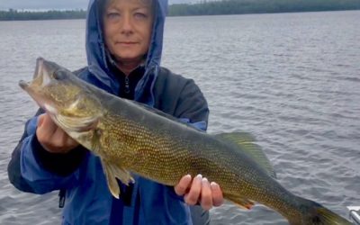 Tuesday September 4, 2018