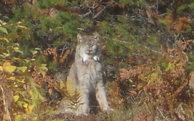 Friday October 5, 2018