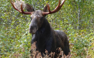 Monday October 1, 2018