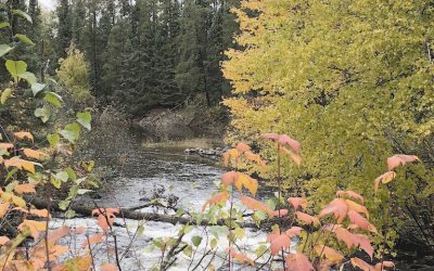 Sunday October 7, 2018