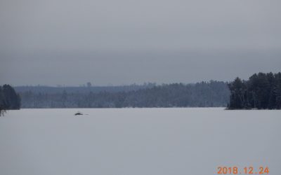 Monday December 24, 2018