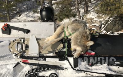 Wednesday January 16, 2019