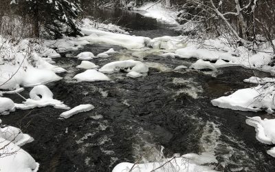 Saturday January 12, 2019