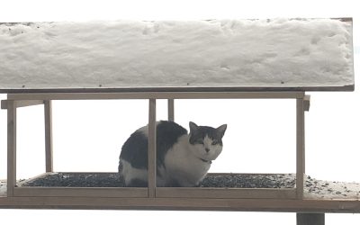 Monday January 14, 2019