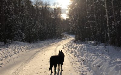 Tuesday January 15, 2019