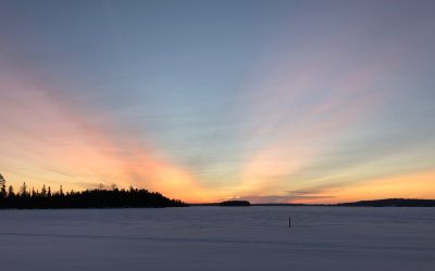 Friday January 18, 2019